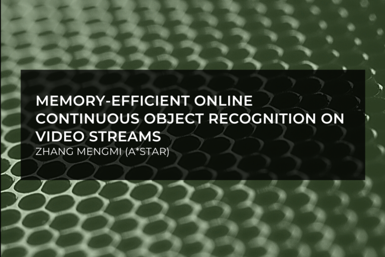 Memory-efficient Online Continuous Object Recognition on Video Streams