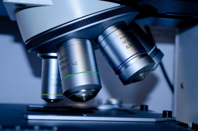 Taking A Leap of Faith From Cancer Biology to AI